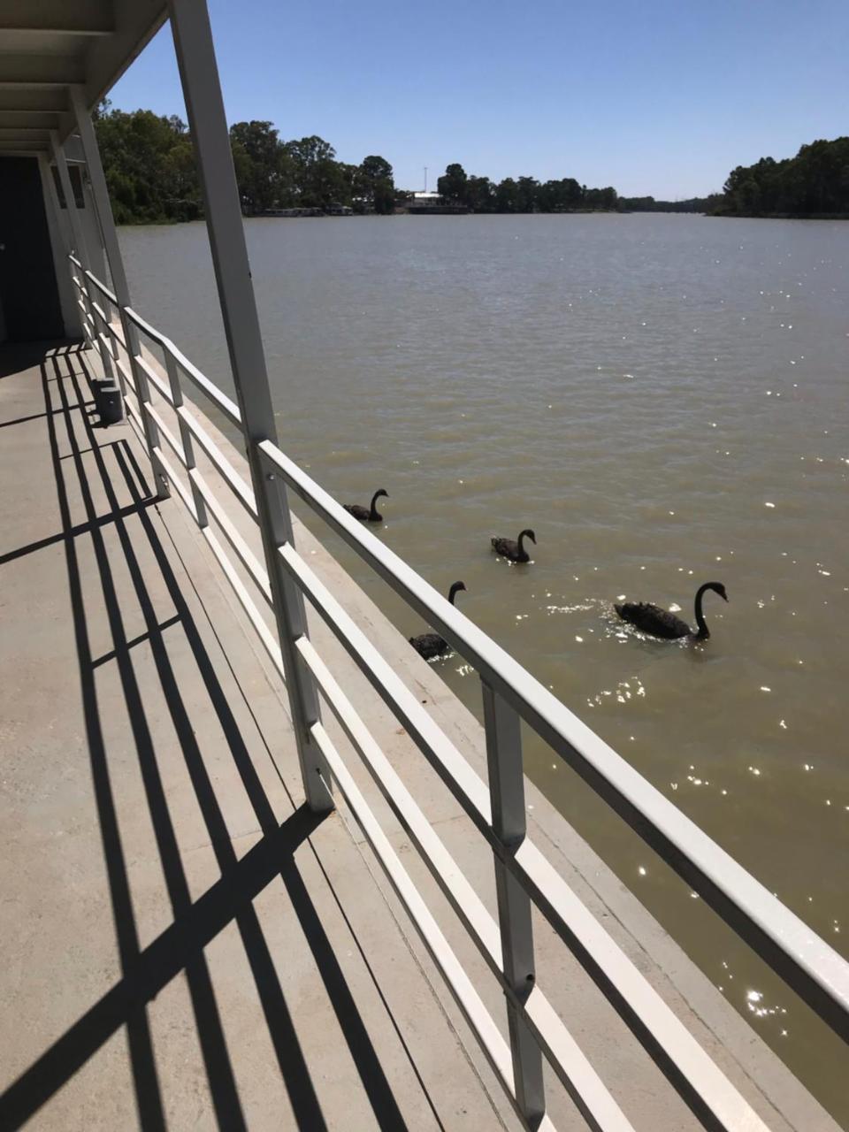 Hotel Murray River Queen Renmark Exteriér fotografie